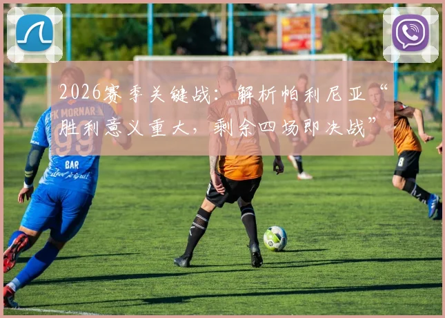 2026赛季关键战:解析帕利尼亚“胜利意义重大,剩余四场即决战”言论背后的富勒姆征程