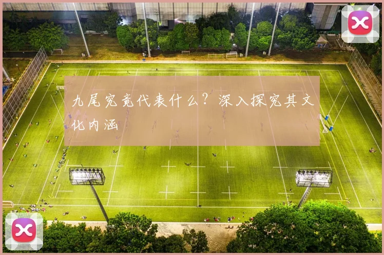 九尾究竟代表什么?深入探究其文化内涵